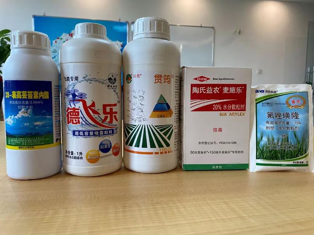 图片1 图片1